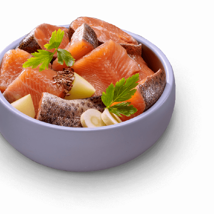 Bowl of natural pet food